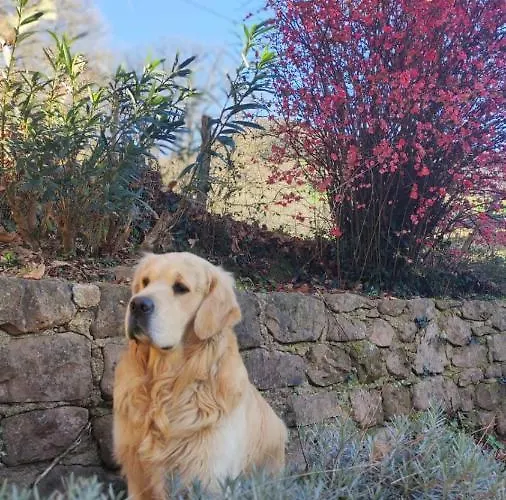 Ibarla Borda Apartment *